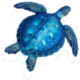 Blue Tortuga logo