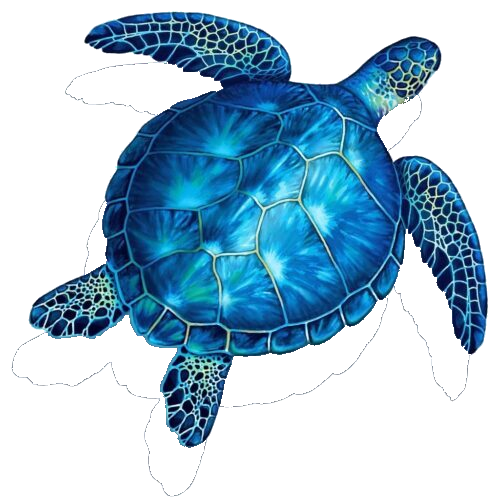 Blue Tortuga logo