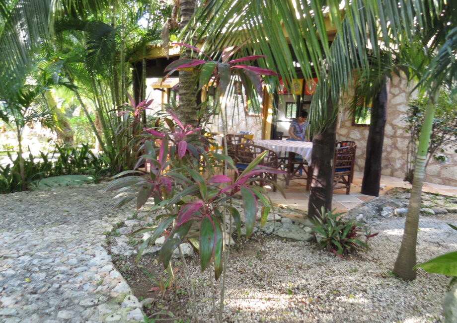 Welcome to villatortugas.com!